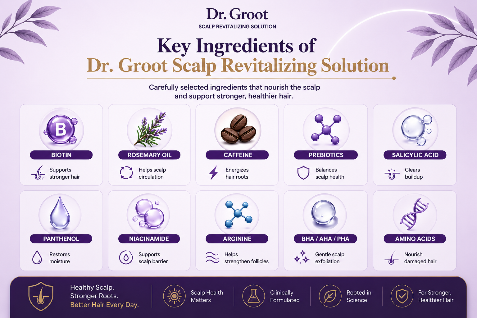 Key Ingredients of Dr Groot Scalp Revitalizing Solution